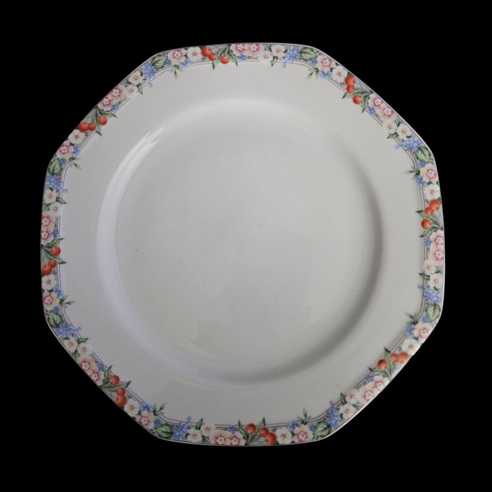 Christopher Stuart Floral Park Fine China Dinner Plates Set of 2